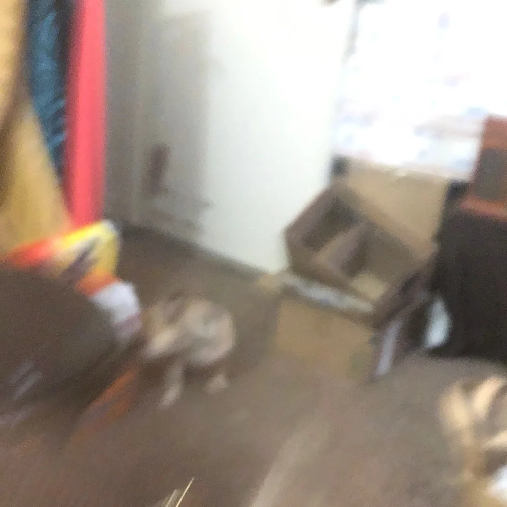 Michael Kors Brown and Tan Tote Bag - Picture 5 of 5